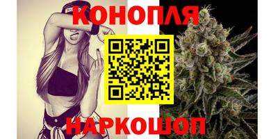 стафф Будённовск