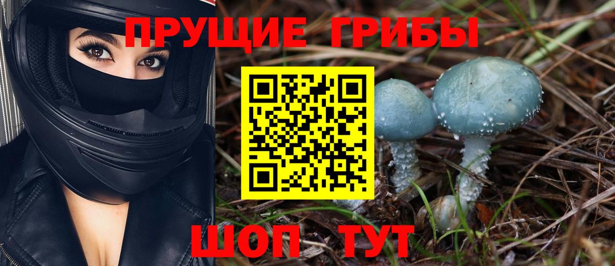 Коркино  Галлюциногенные грибы MAGIC MUSHROOMS  Вход с VPN 