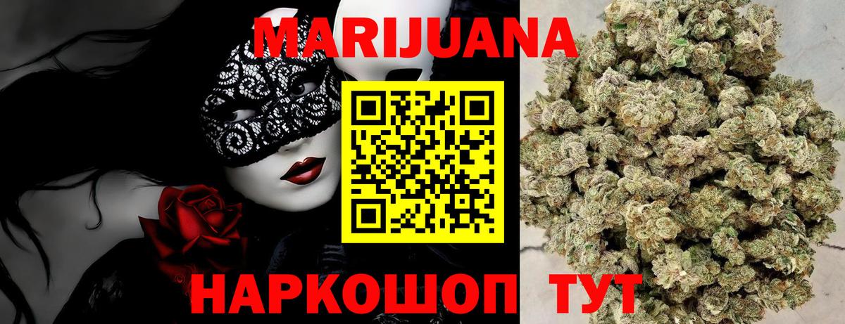 Каннабис OG Kush Коркино